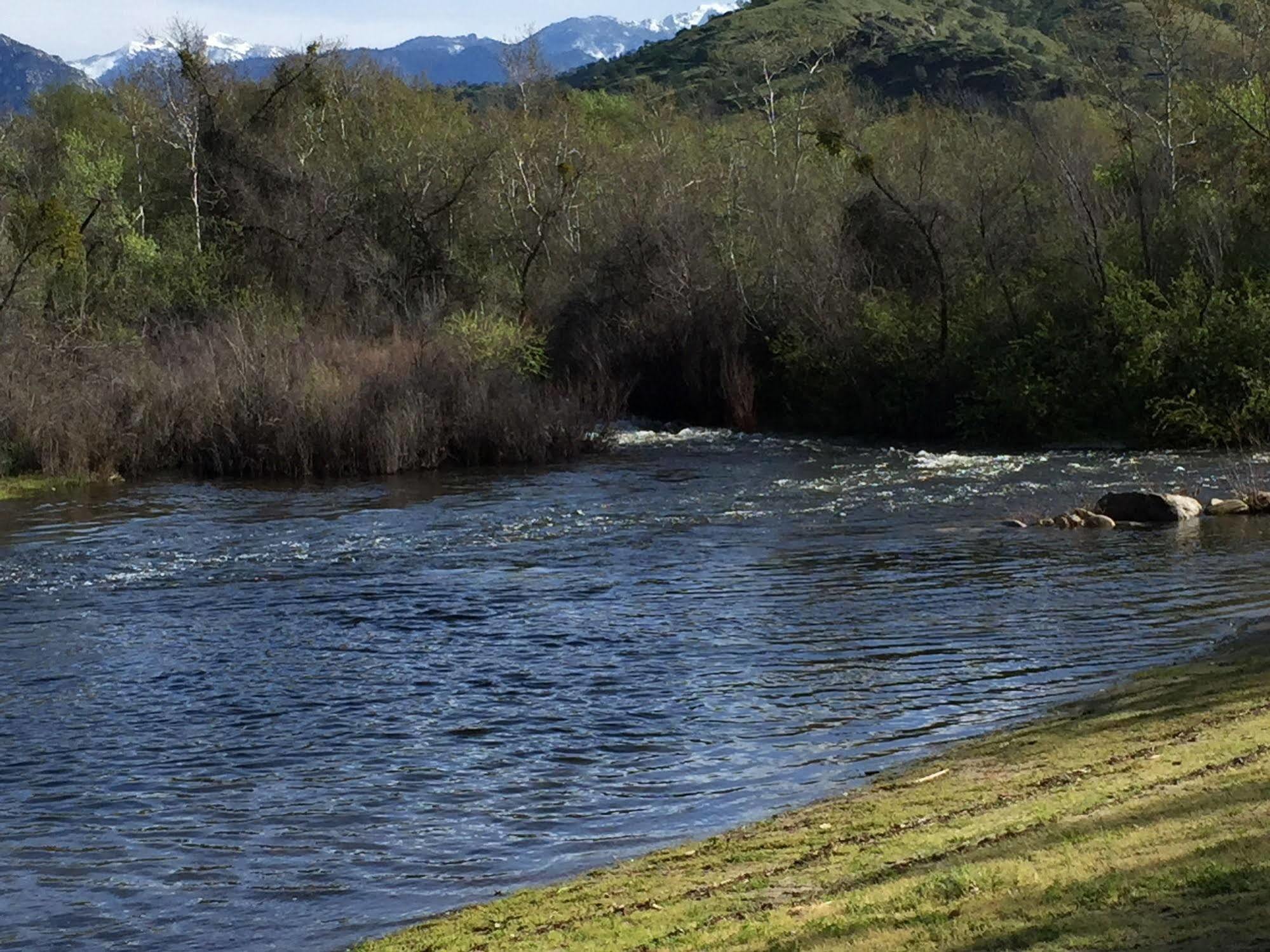 Kaweah Park Resort スリー・リバーズ エクステリア 写真